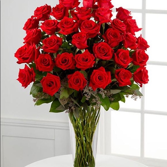 Meet your Posher, Neena - Picture 1 of 1